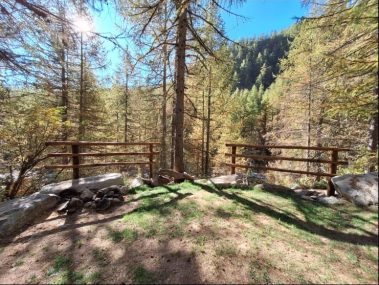 Recinzioni e Staccionate Segheria e Legnami Chiabotti