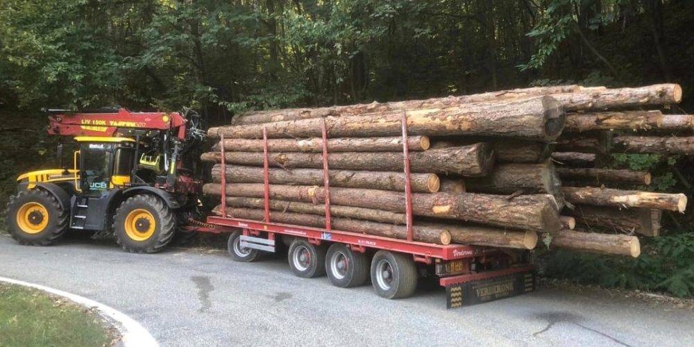 Segheria e Legnami Chiabotti legno