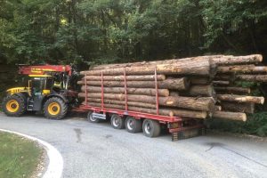 Segheria e Legnami Chiabotti legno